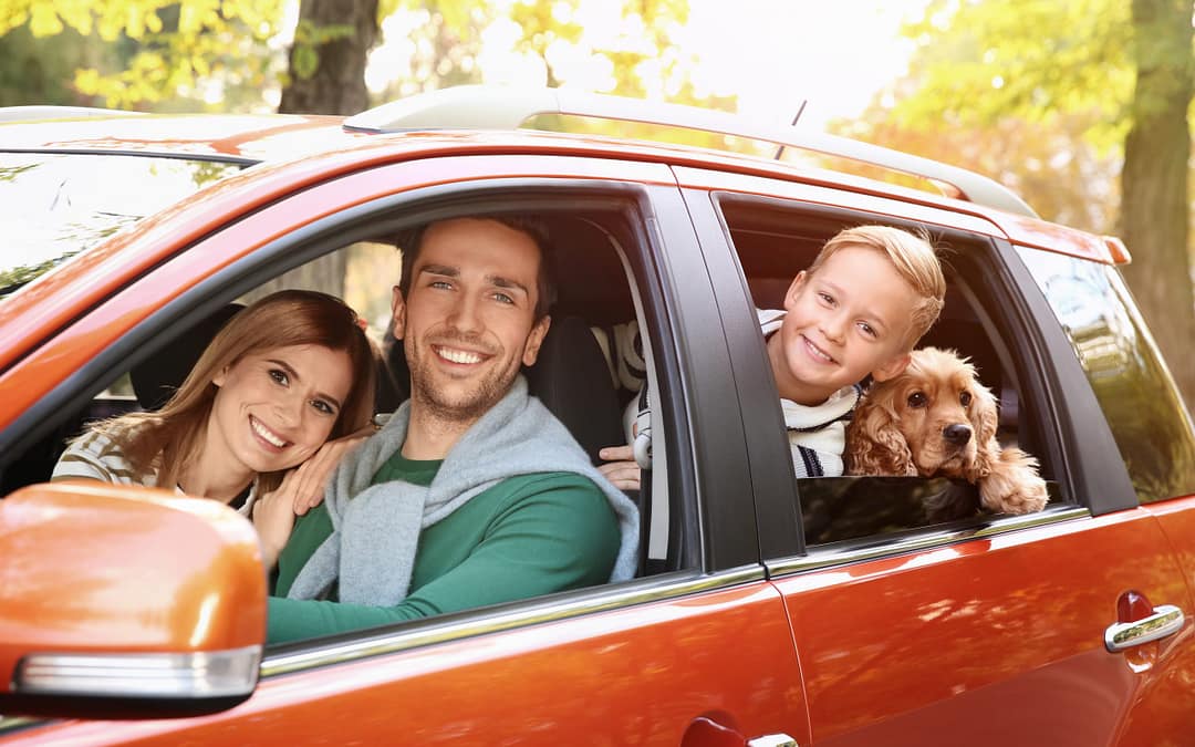 Young Family With Dog In Car